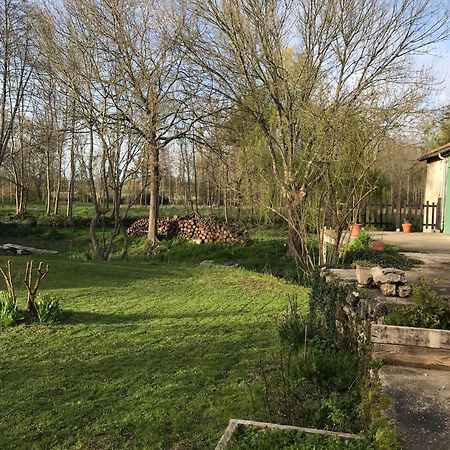 Apartamento Ancien Moulin A Eau Sur La Seugne Mosnac  Exterior foto