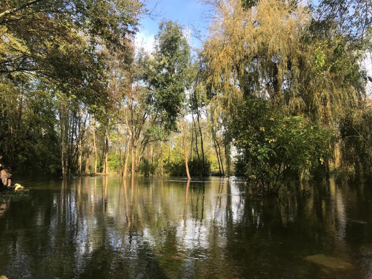 Apartamento Ancien Moulin A Eau Sur La Seugne Mosnac  Exterior foto